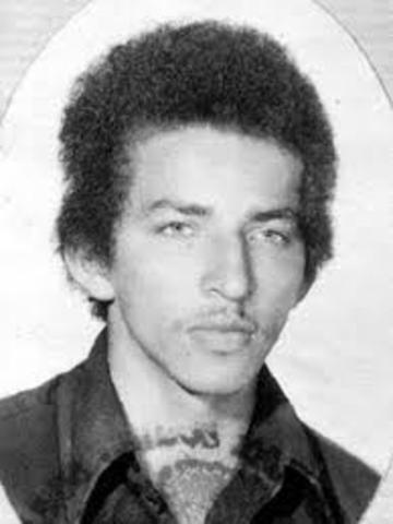 Importancia de la Función del Control