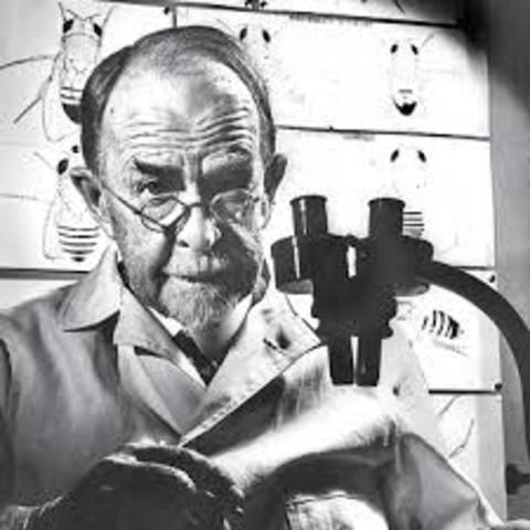 GENES LOCALIZADOS EN LOS CROMOSOMAS