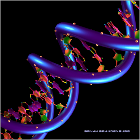 ADN, EL MATERIAL GENETICO