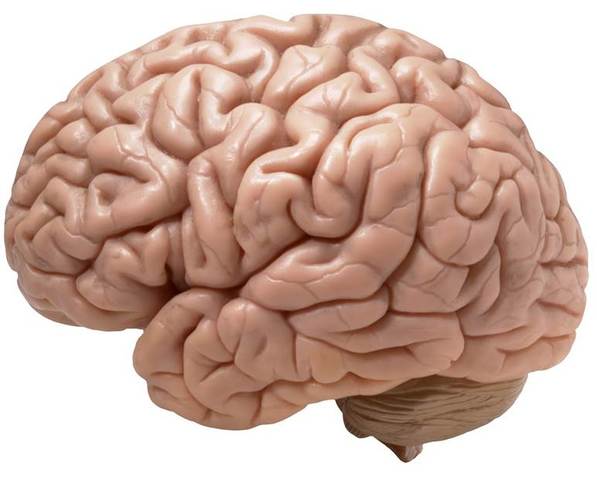 Lavado del Cerebro Al Dormir