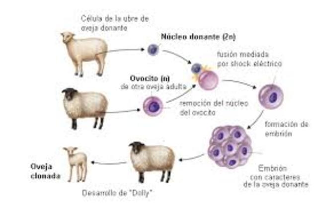 CLONACION DEL PRIMER MAMIFERO
