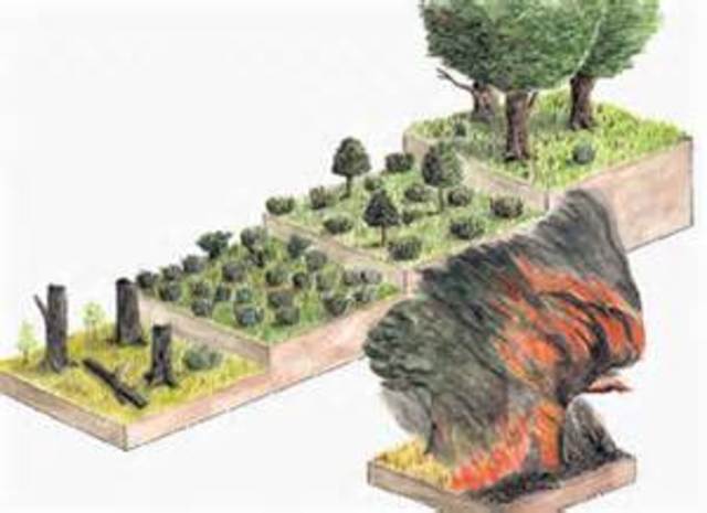 La Sucesión Ecologica