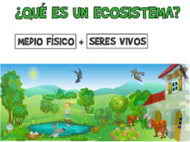 Ecosistema