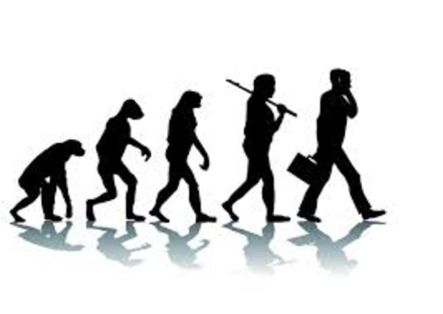 La Evolucion