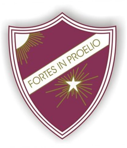 Graduación primaria