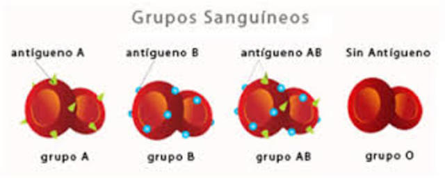 GRUPO SANGUINEO