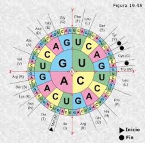CODIGO GENETICO