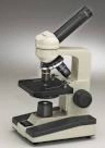 MICROSCOPIO