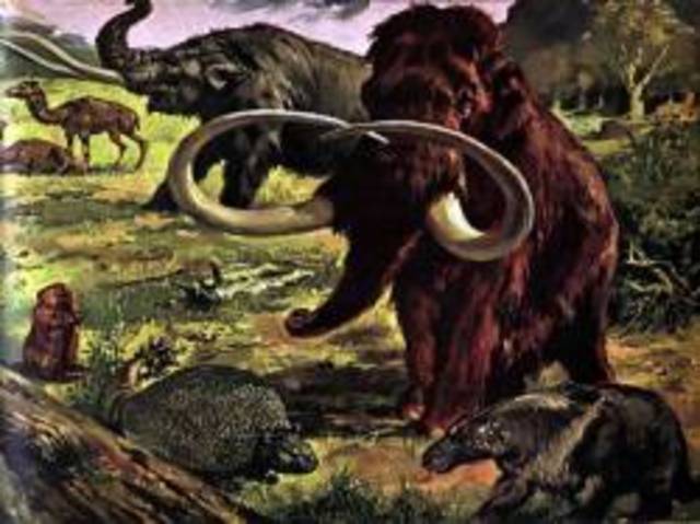 age of mammals and birds