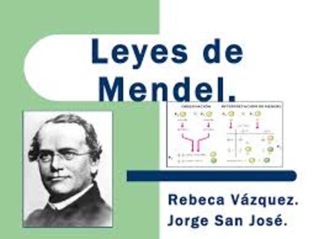 LAS LEYES DE MENDEL
