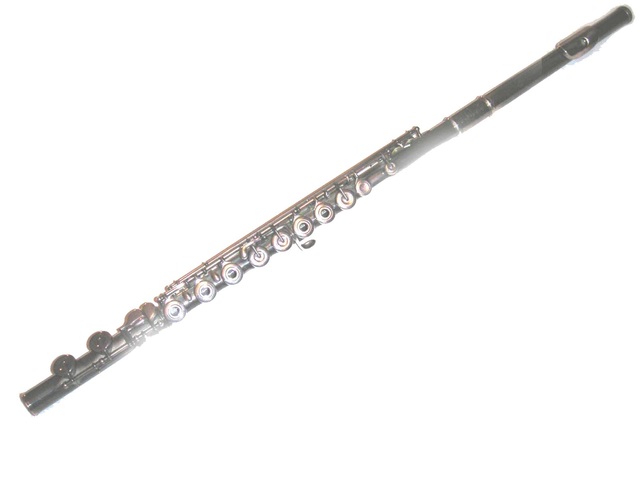 Band concert in fifth grade