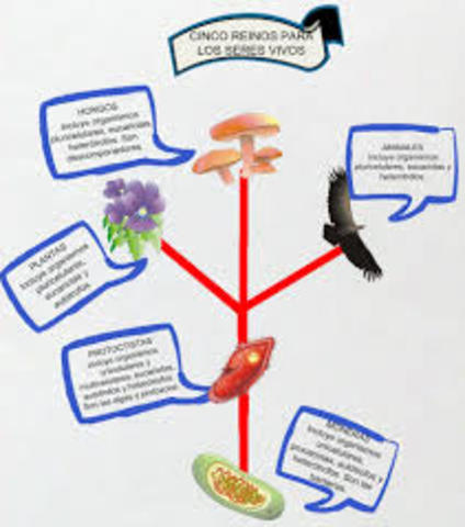 CLASIFICACION DE LOS SERES VIVOS EN CINCO REINOS