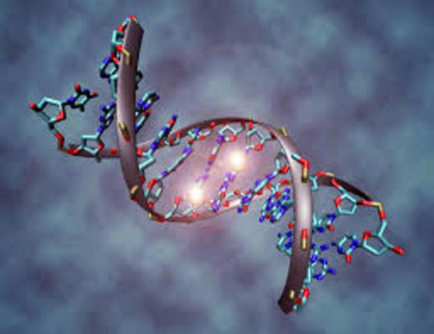 GENOMA HUMANO POR Craig Venter