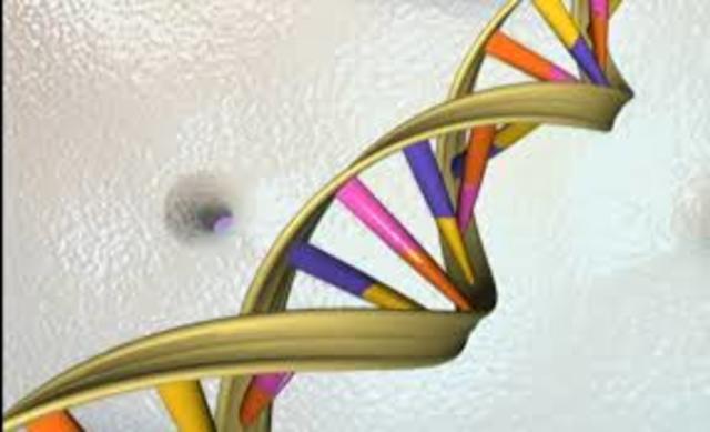 Estructura de doble elice del ADN
