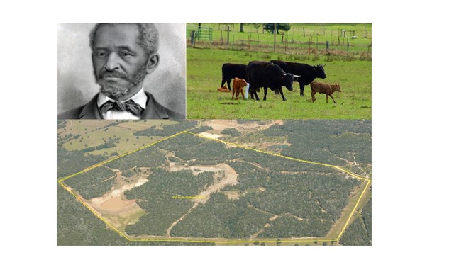 Anthony Johnson owns 250 acres, cattle, and servants.