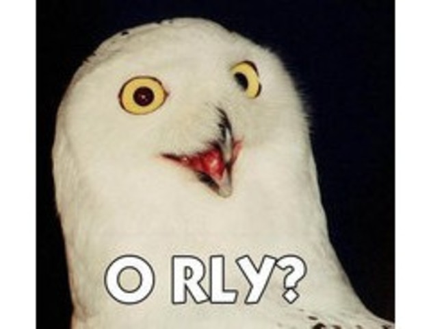 O RLY?
