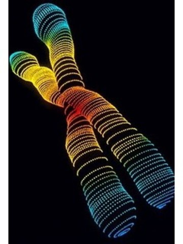 Logran aislar el material genético