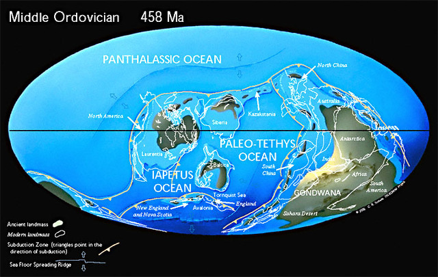 Ordovician 500-450 MYA