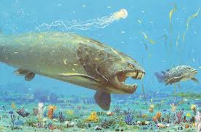 Silurian 435-395 MYA