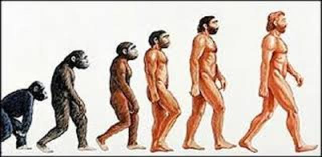 ORIGEN DE LAS ESPECIES