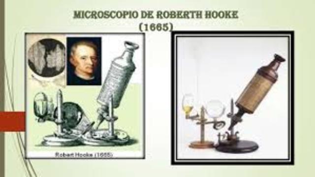 MICROSCOPIO POR ROBERT HOOKE