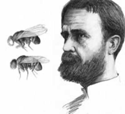 La teoría de los genes