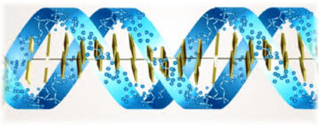 TEORIA DE LA EVOLUCION BILOGICA