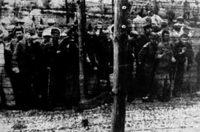 Discovery of Majdanek