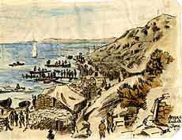 Allied troops, including australians, land on Gallipoli penninsula