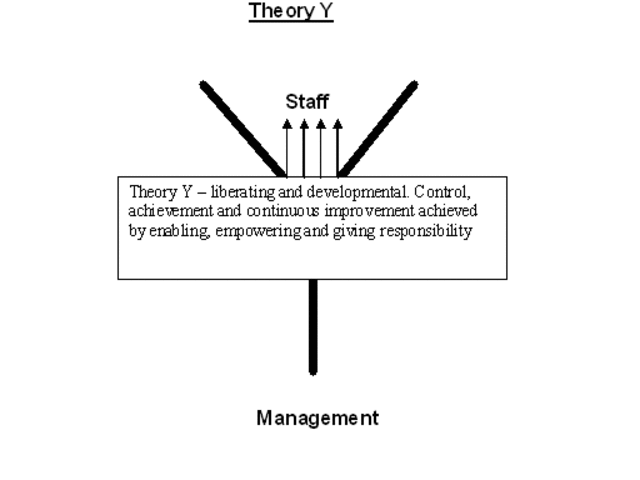 Theory Y