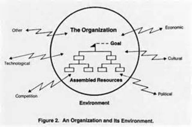 Organizational Environment Theory