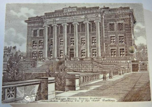 FIRST MANAGEMENT MAJOR