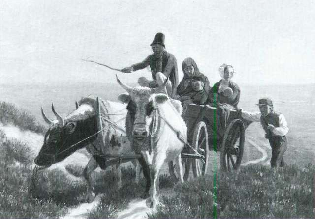 Det europæiske marked oversvømmet af korn