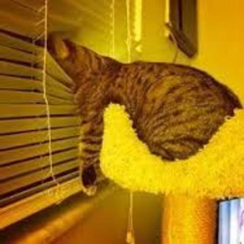 waiting on those letters