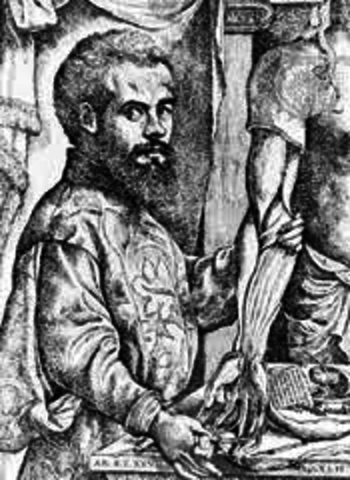 Vesalius published a seven-volume book.