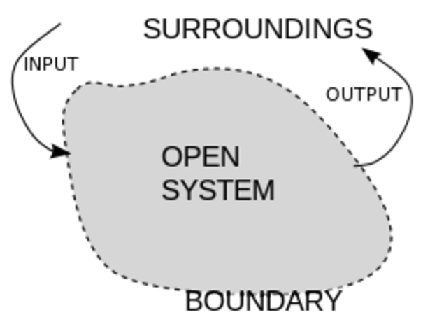 The Open-systems Theory developed