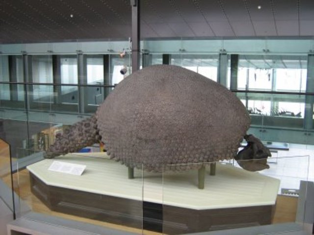 Punta Alta, Argentina