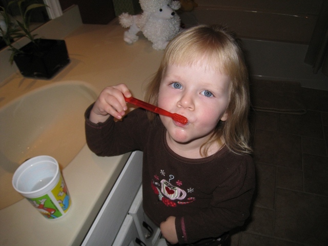 30 to 36 months (cognitive areas of development)