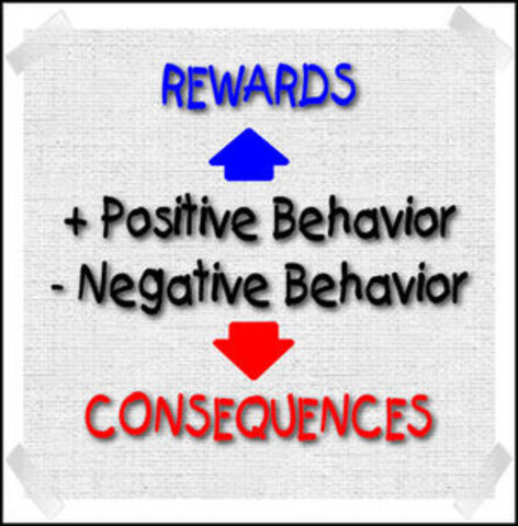 Behavioral Management Movement