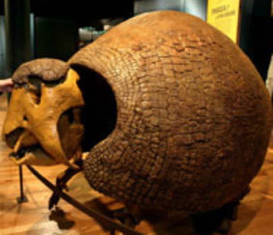 Punta Alta, Argentina