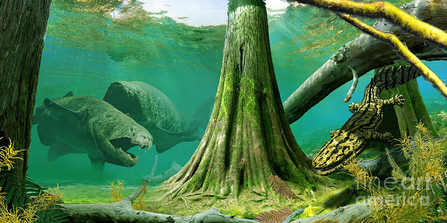 Devonian 395-345 MYA