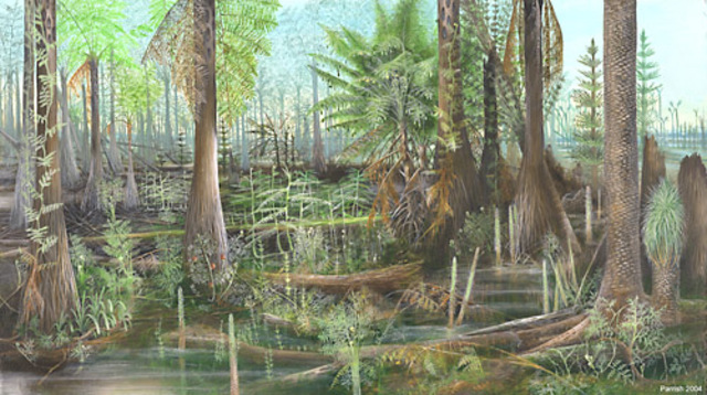 Carboniferous 345-280 MYA