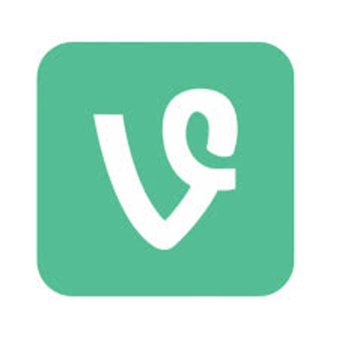 VINE CREATED