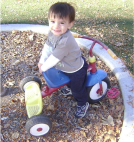 22-24 months. Physical Development