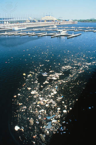 The St. Lawrence Seaway Opens!