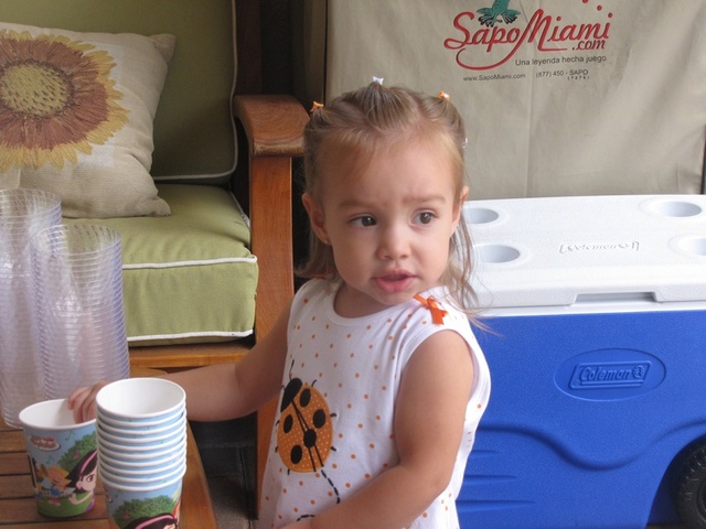 22-24 months. Intellectual Development