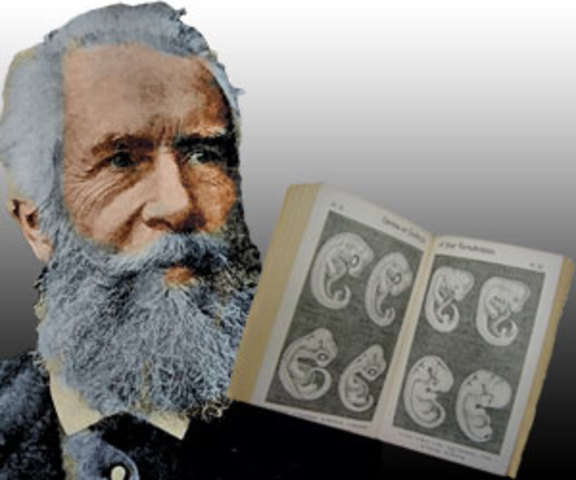 Ernst Haeckel