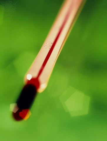 Highest Temperature in Fayetteville