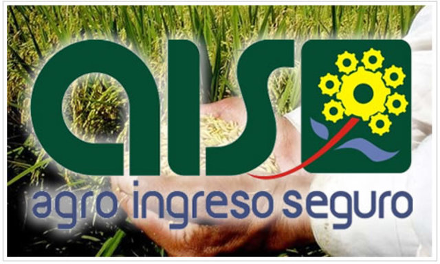 Se creó el programa AIS y el IAT