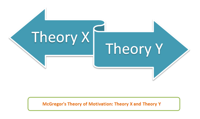 Theory X